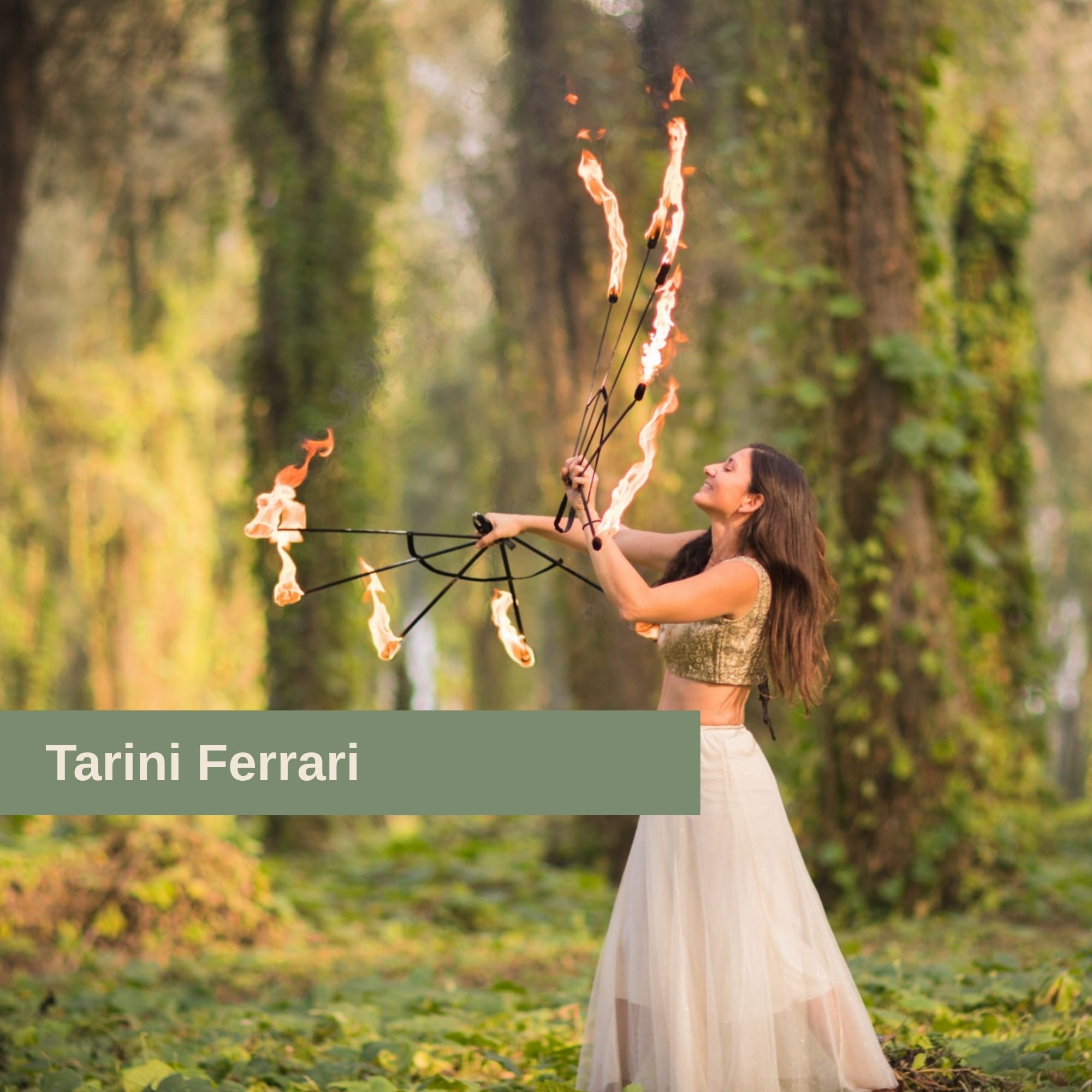 Flaming Rose  Spettacolo con il fuoco
