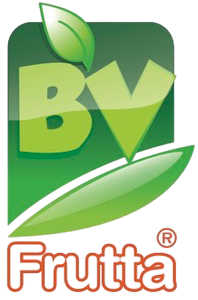 cropped-Logo_BVFRUTTA_nobg